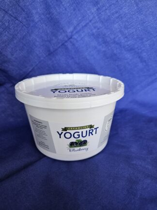 ***NEW*** 16oz Blueberry Yogurt